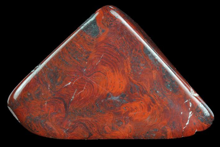 Polished Stromatolite (Collenia) - Minnesota #126090
